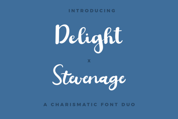 Delight X Stevenage Duo: A Charming Font for Elegant Branding