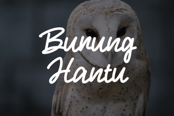 Discover Burung Hantu: A Versatile Font for Editorial Design