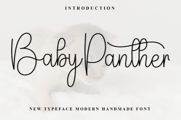 Transform Your Brand with Baby Panther: A Friendly, Creative Font